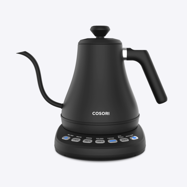 Variable-temperature electric kettle
