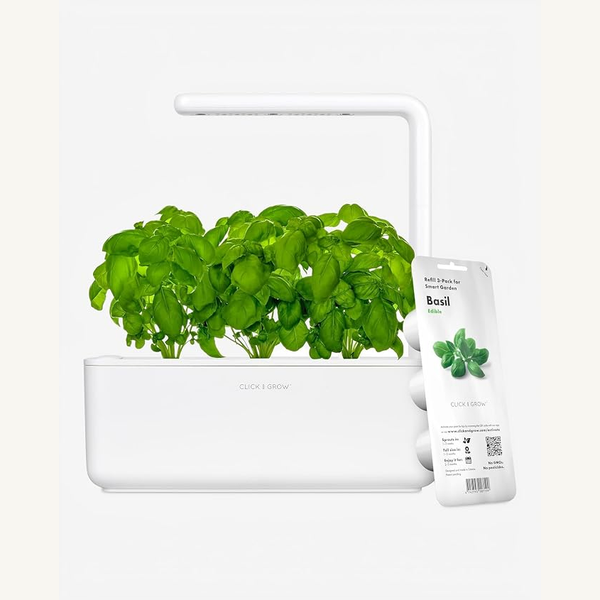 Indoor grow light and herb setup
